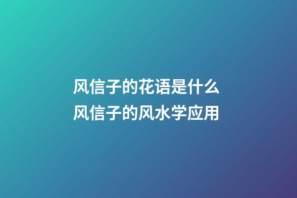 风信子的花语是什么 风信子的风水学应用